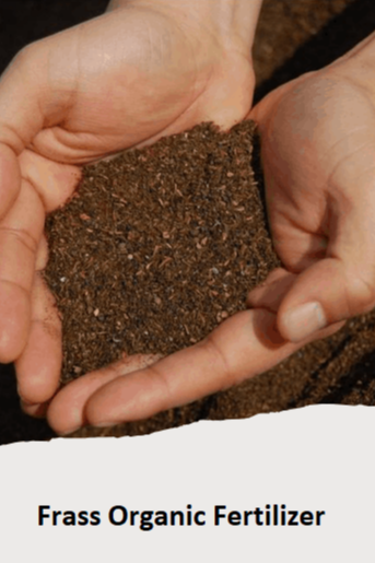 Frass Organic Fertilizer by BSFL