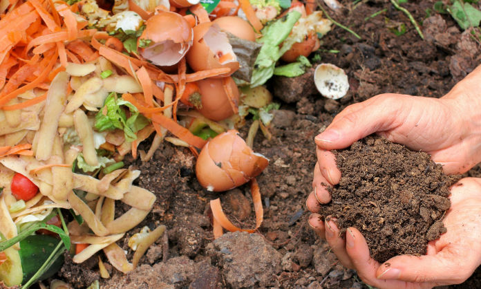 organic waste food material