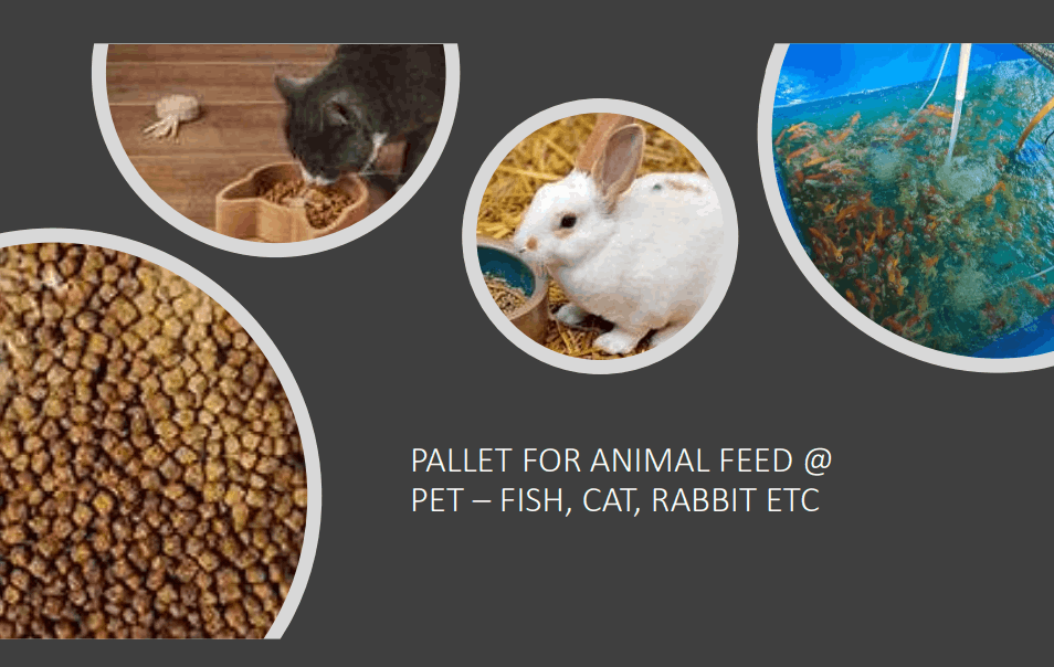 Pallet feed for fish, rabbit, cat by BSFL